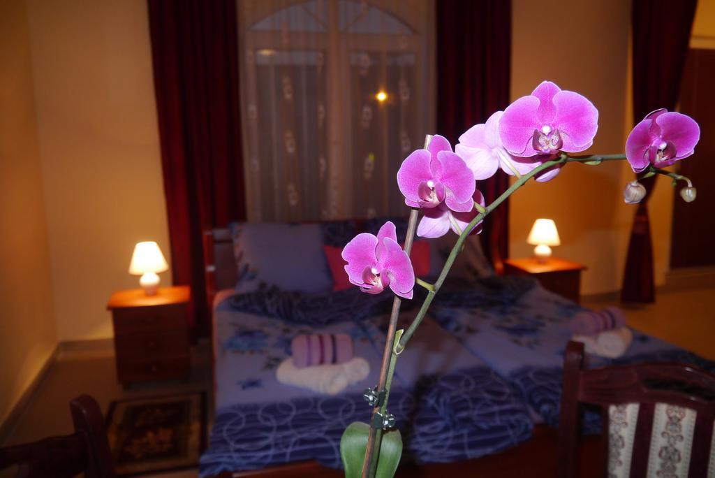Guest House Villa Lord Novi Sad Exteriör bild